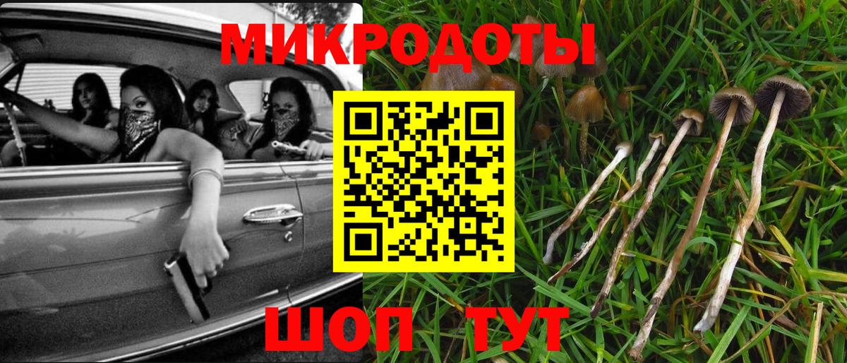 Псилоцибиновые грибы GOLDEN TEACHER Чебоксары