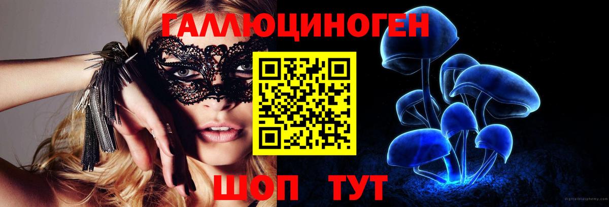 Чебоксары  Галлюциногенные грибы мицелий  Вход с VPN 