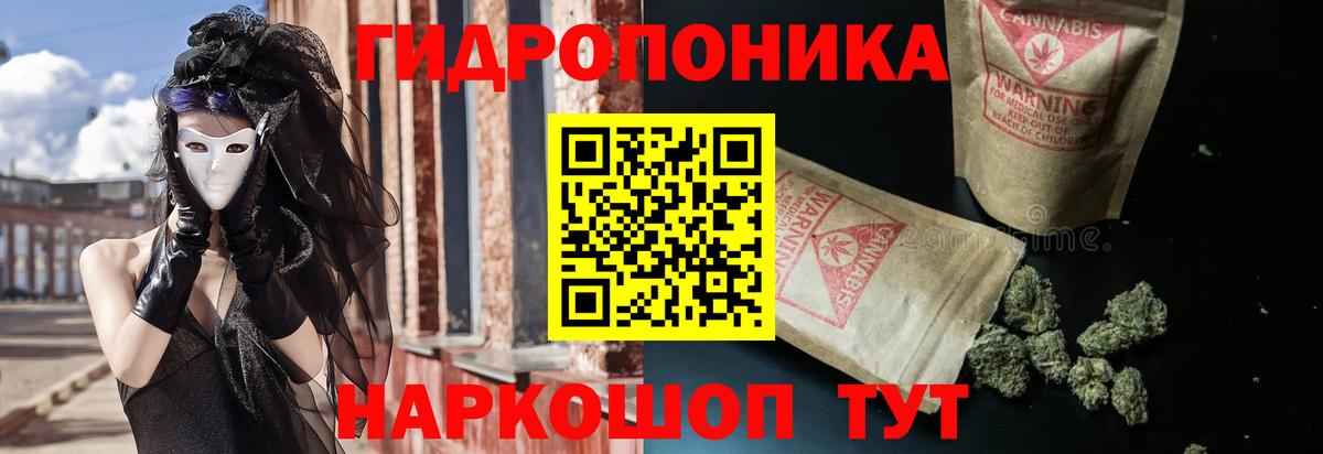 Бошки Шишки план Чебоксары